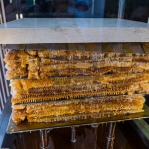 Tại Sao Mật Ong Bạc Hà Lại Có Màu Xanh Vàng Đặc Trưng?
