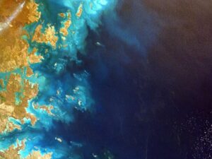 Tuyển dụng Kế toán Tổng hợp