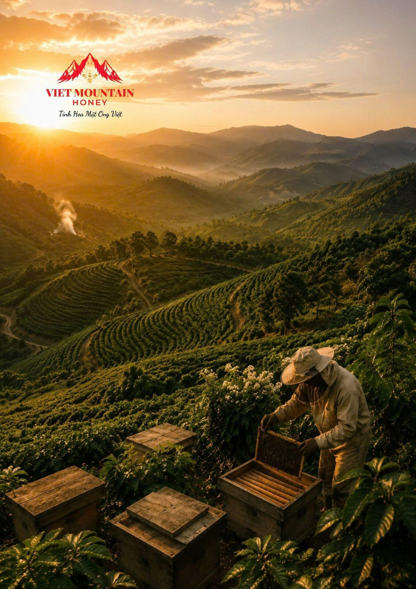 Câu chuyện Viet Mountain Honey