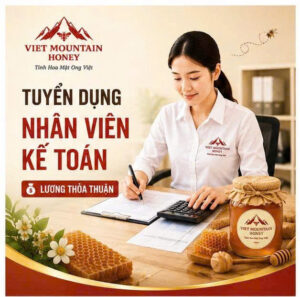 Tuyển dụng Kế toán Tổng hợp